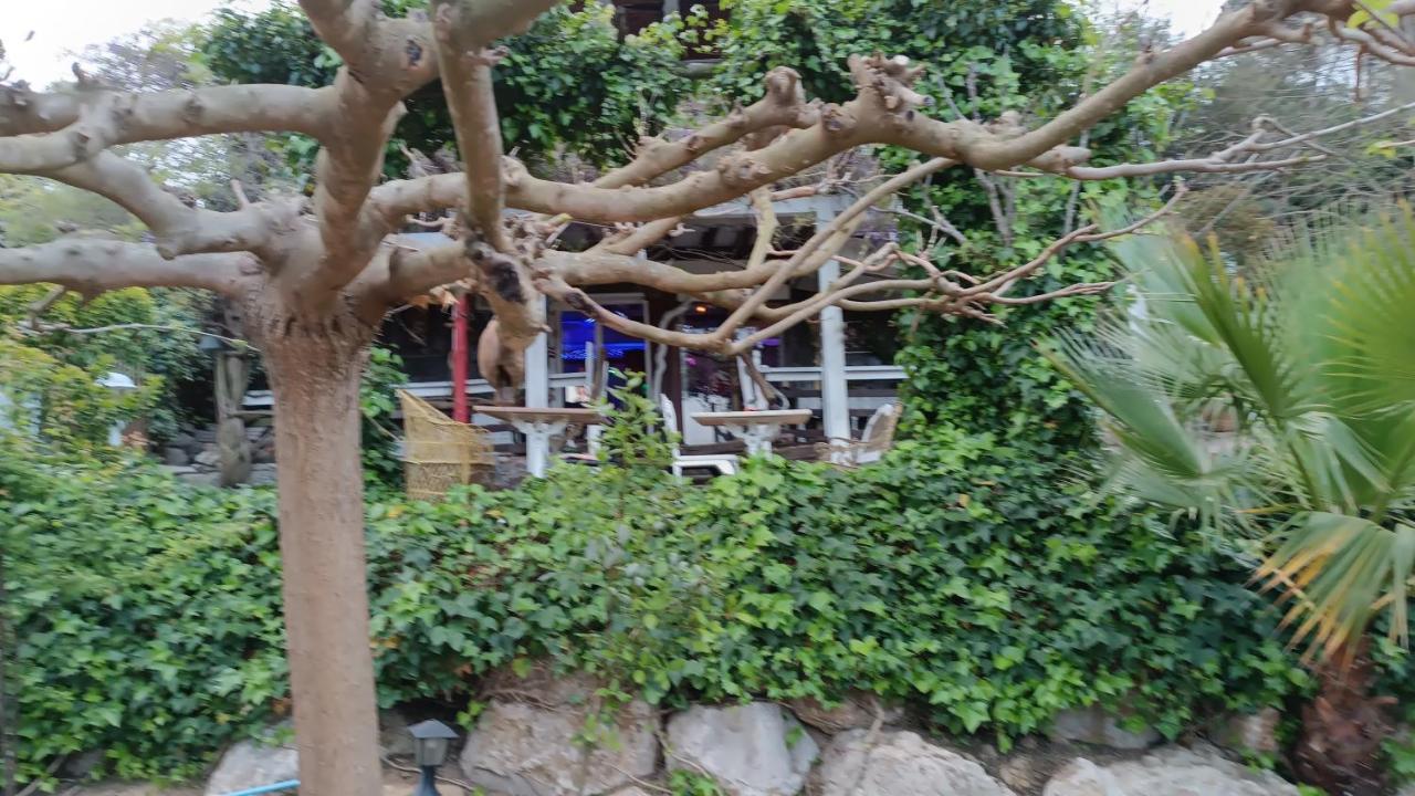 Mare Maravella Costa Brava Nature Тордера Екстериор снимка